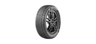 Winterreifen 205/55 R16