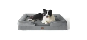 Hundebett