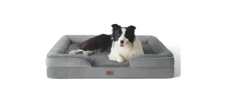 Orthopädisches Hundebett für maximalen Komfort und Gesundheit