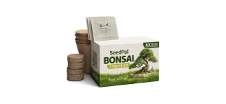 Bonsai Starter Kit - Alles Notwendige für die erfolgreiche Zucht eines Bonsais in einem praktischen Set