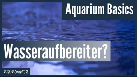 Braucht man Wasseraufbereiter im Aquarium?