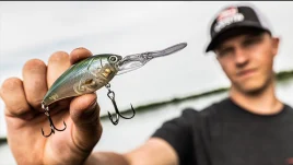 Crankbait richtig einsetzen: Köder, Führung &amp; Tipps