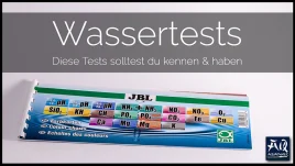 Die besten Wassertests für Ihr Aquarium erklärt