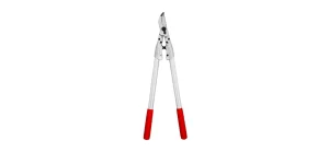 Felco-Astschere