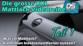 Insekten vom Mattlack sicher entfernen – Diese Mittel funktionieren