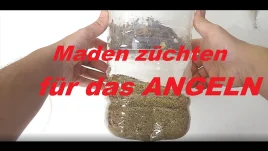 Maden züchten für Angler – DIY Madenzucht Box in 4K