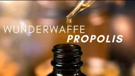 Propolis: Anwendung, Wirkung &amp; Erfahrungen erklärt