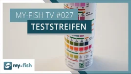 Teststreifen richtig anwenden: Schnell Wasserwerte messen