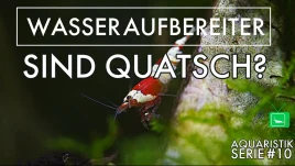 Wasseraufbereiter im Aquarium sinnvoll erklärt